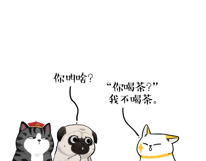 吾皇巴扎黑漫画,第353话 逆向思维1图