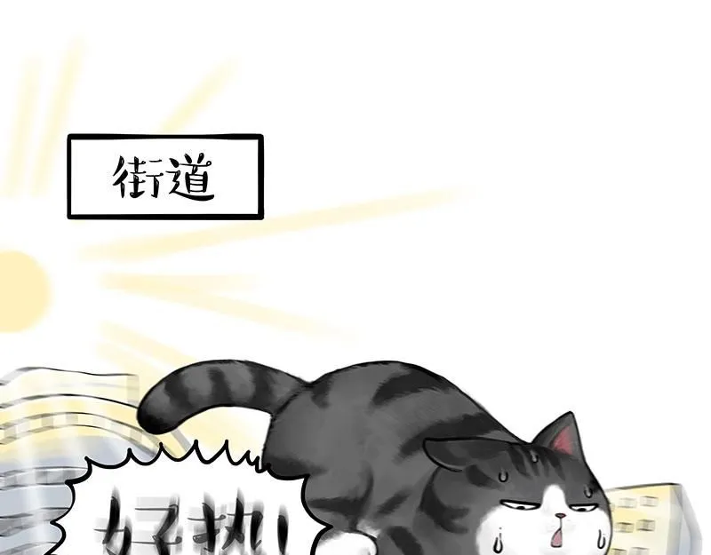 吾皇巴扎黑漫画,第391话 太热了！2图