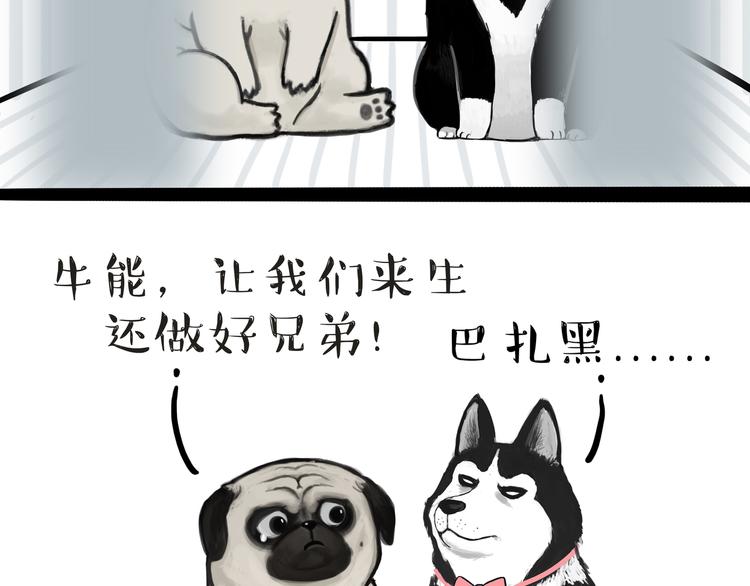 吾皇巴扎黑漫画,第118话 去势？！2图