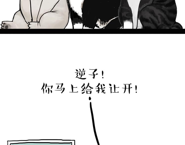吾皇巴扎黑超话漫画,第162话 喵星人选美大赛2图