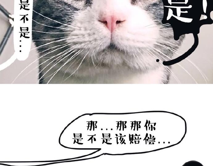 吾皇巴扎黑漫画,第26话 犯错你会卖萌求原谅吗1图