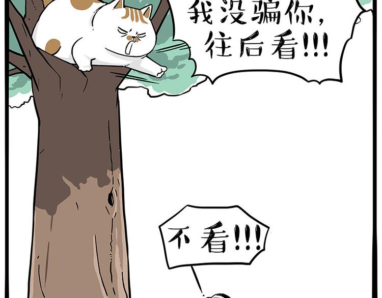 吾皇巴扎黑漫画,第271话 进击的流浪猫！2图