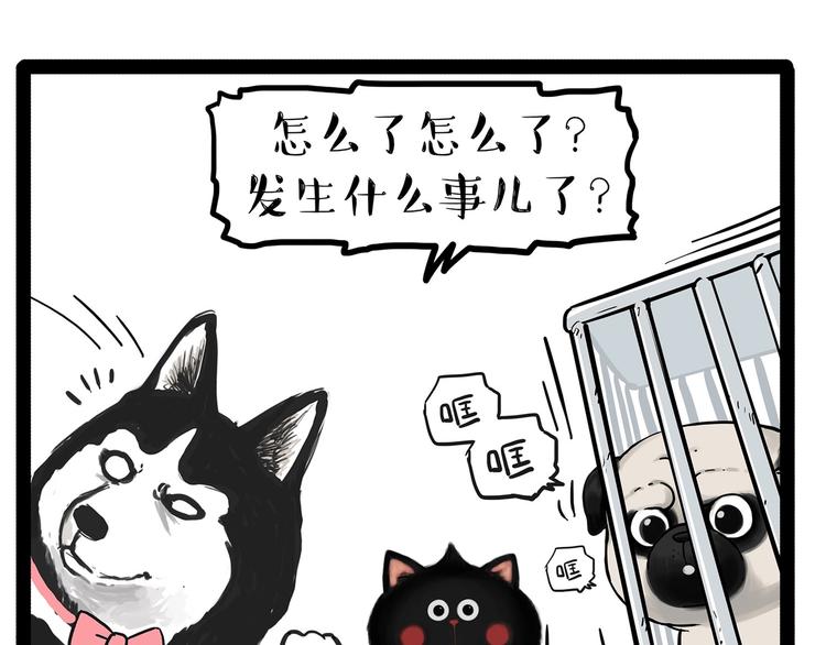 吾皇巴扎黑漫画,第202话 谁动了吾皇的猫粮2图