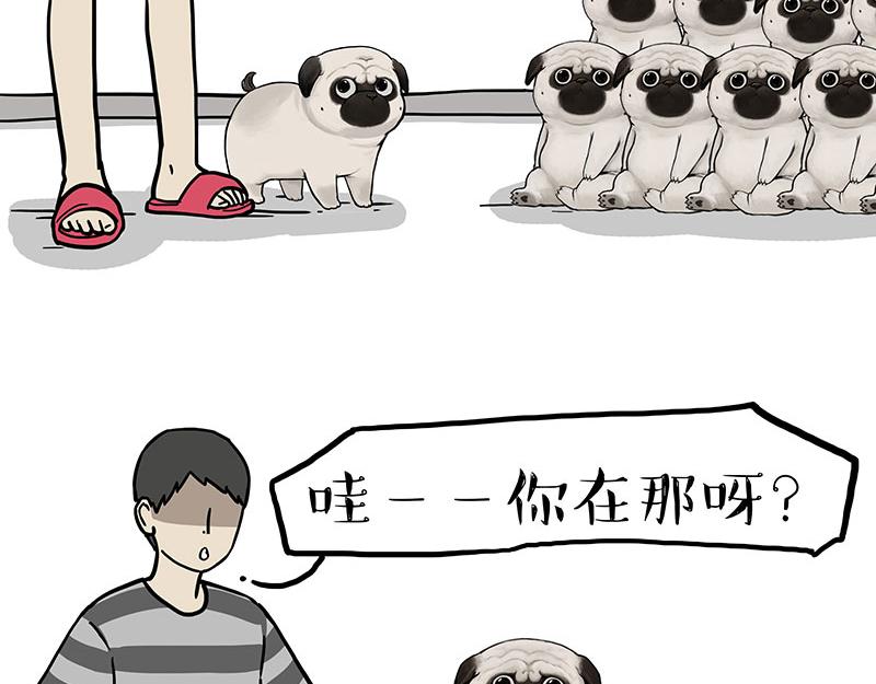 吾皇巴扎黑漫画,第310话 黑里寻黑2图