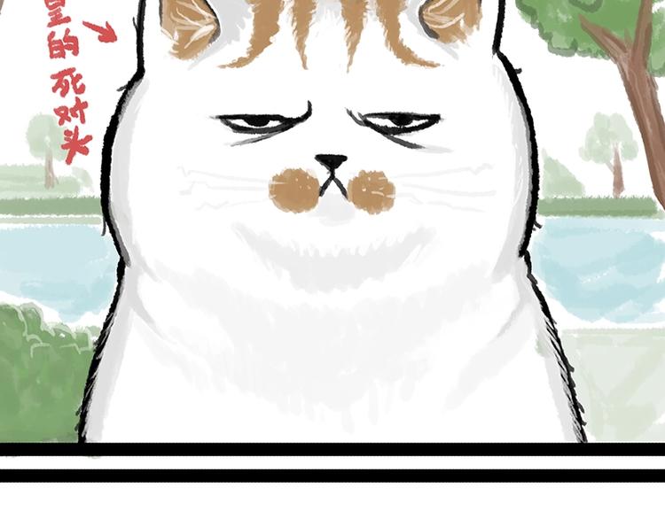 吾皇巴扎黑漫画,第158话 傲霸日常2图