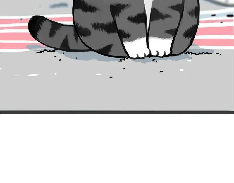 吾皇巴扎黑漫画,第409话 吾皇改名了？2图