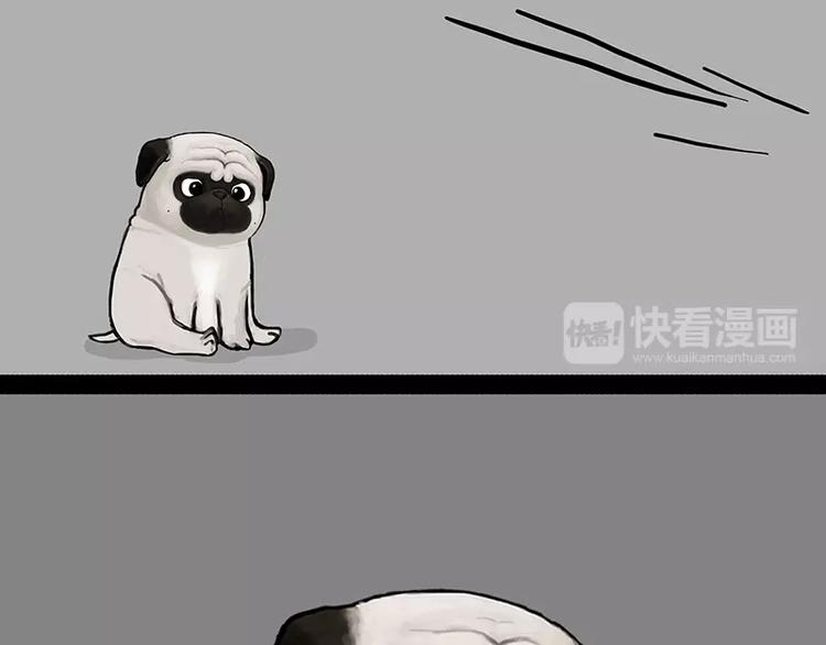 吾皇巴扎黑漫画,第151话 一声兄弟，一生兄弟2图