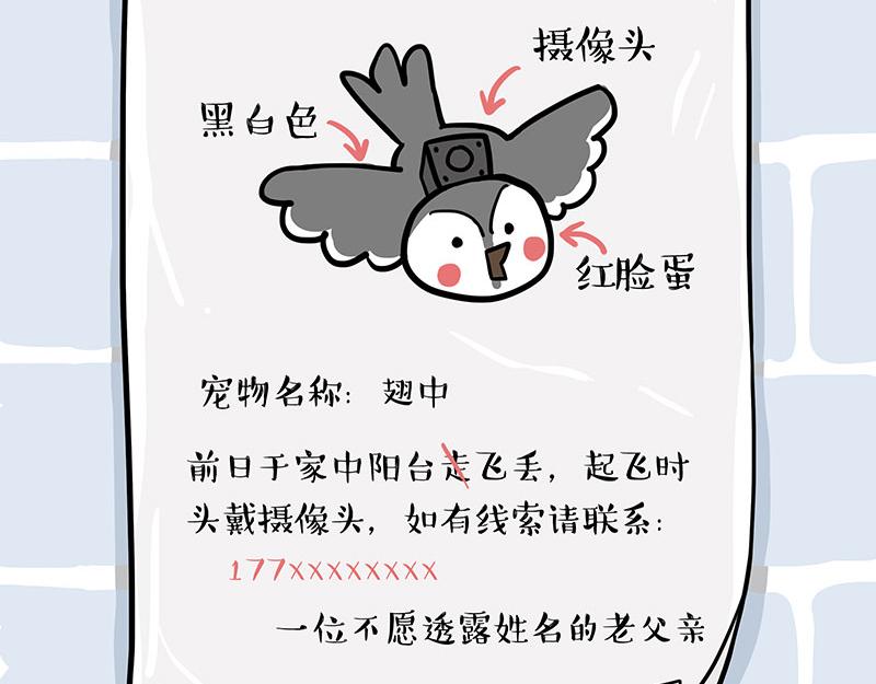 吾皇巴扎黑漫画,第309话 不妙小喵招1图