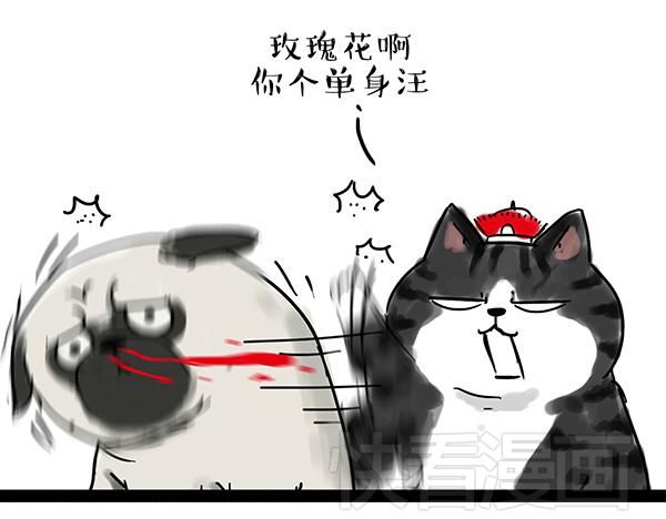 吾皇巴扎黑漫画,第32话 七夕你为什么还单身？1图