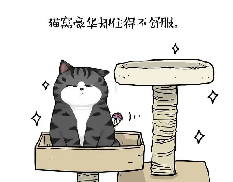 吾皇巴扎黑漫画,第398话 相爱相“坑”2图