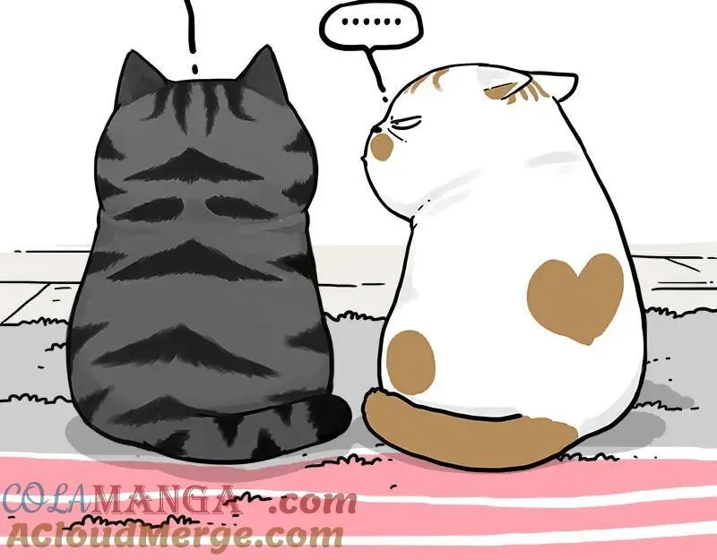 吾皇巴扎黑漫画,第409话 吾皇改名了？2图