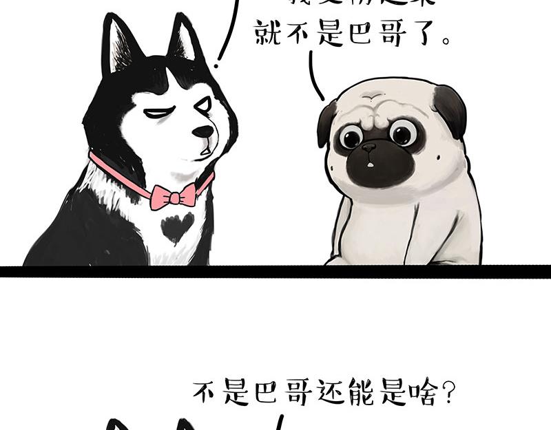 吾皇巴扎黑人物介绍漫画,第297话 无处不在拦路猫2图