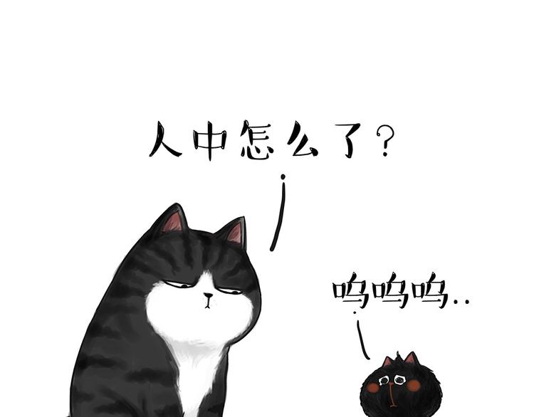 吾皇巴扎黑漫画,第53话 宠物的压力1图