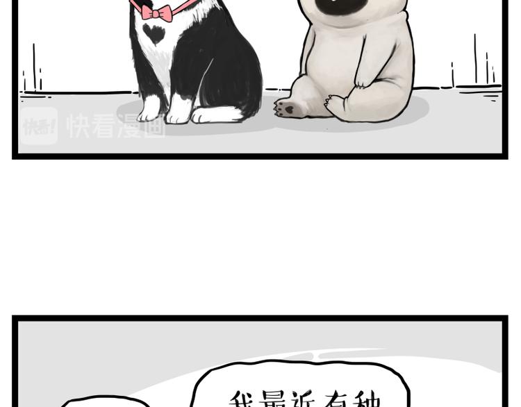 吾皇巴扎黑漫画,第273话 虾仁猪心2图
