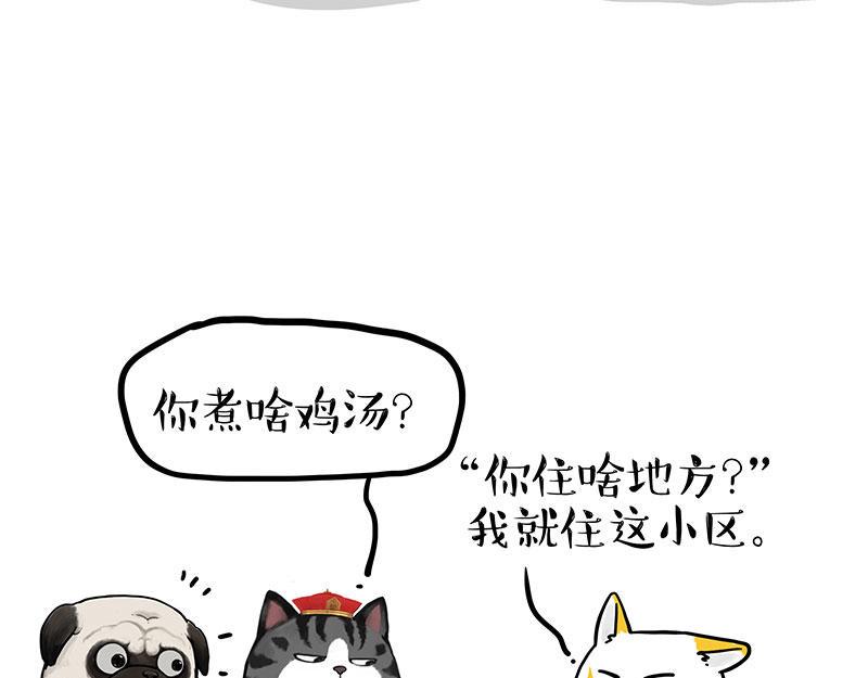 吾皇巴扎黑漫画,第353话 逆向思维1图