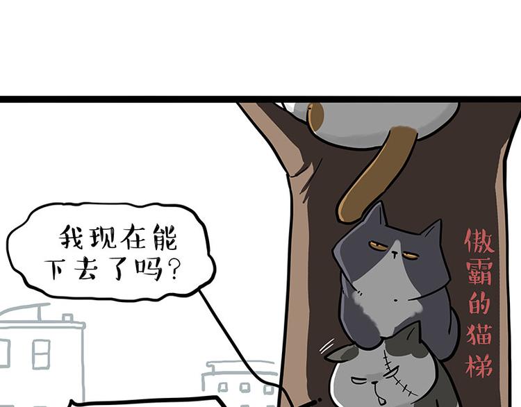 吾皇巴扎黑漫画,第270话 胖老猫你个大骗子！1图