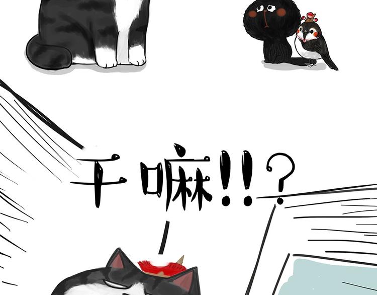 吾皇巴扎黑漫画,第53话 宠物的压力1图