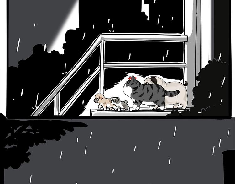 吾皇巴扎黑漫画,第267话 不让你流浪1图
