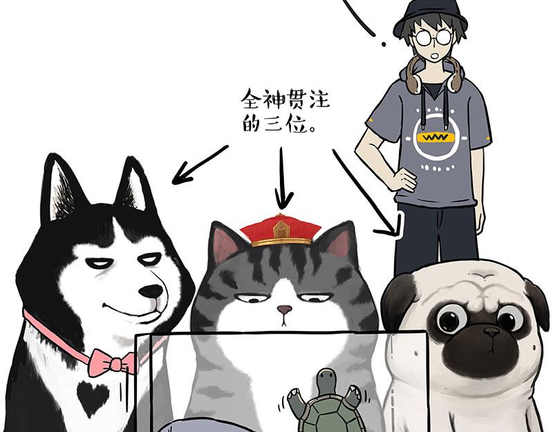 吾皇巴扎黑漫画,第298话 龟与狗与世界2图