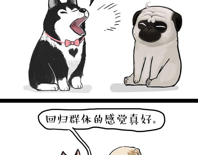 吾皇巴扎黑漫画,第131话 不争第一争口气2图