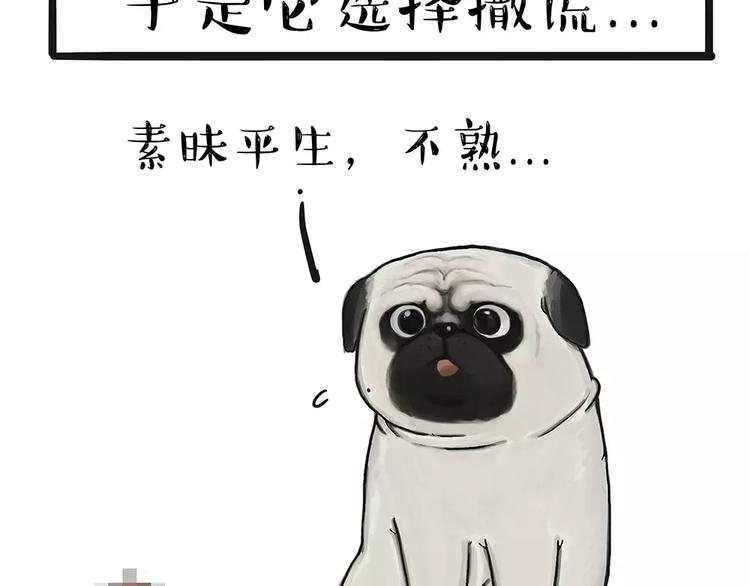 吾皇巴扎黑漫画,第91话 好朋友1图