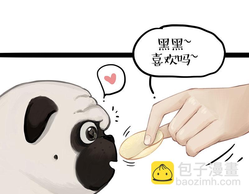 吾皇巴扎黑漫画,第372话 莫与狗比狗2图