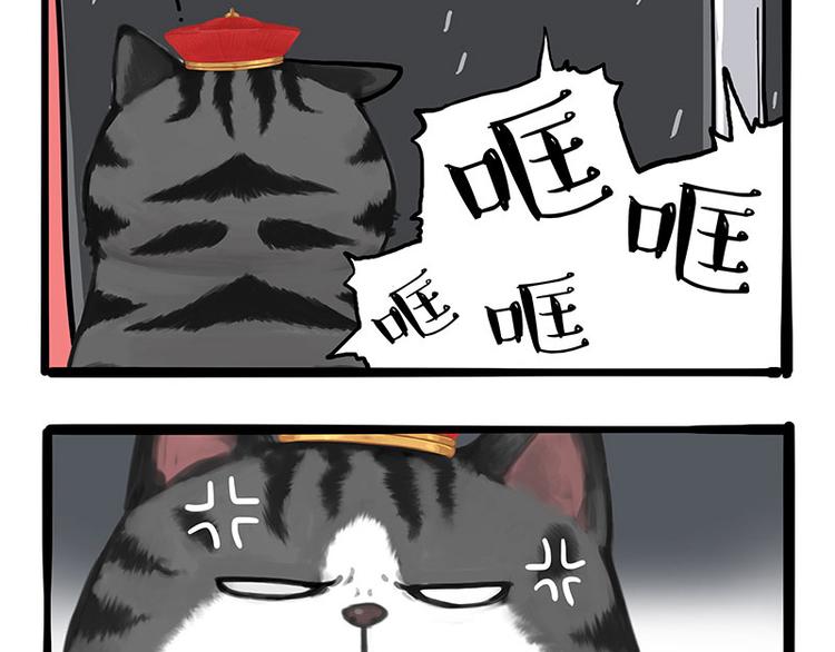 吾皇巴扎黑漫画,第265话 雨夜“惊魂”1图