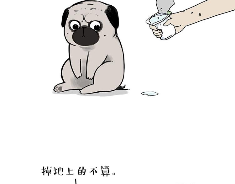 吾皇巴扎黑漫画,第172话 少年大改造？1图