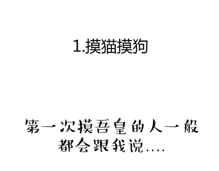 吾皇巴扎黑漫画,第36话 猫奴为什么没有尊严1图