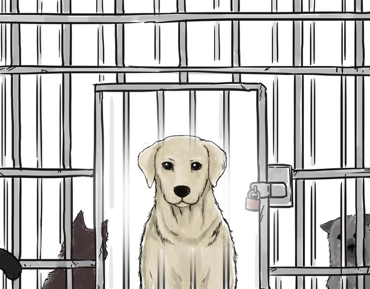 吾皇巴扎黑超话漫画,第198话 你爱世界，但我爱你1图