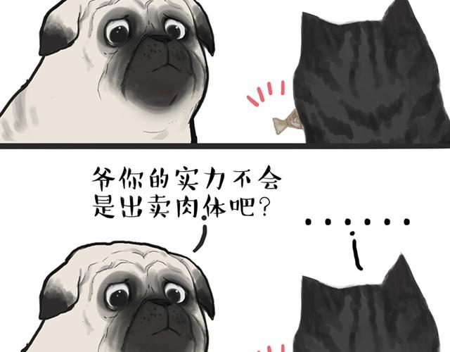 吾皇巴扎黑漫画全集漫画,第13话 不想理这个恋脚癖2图