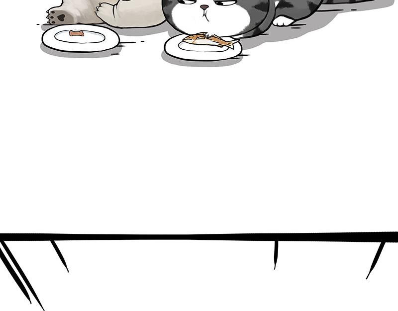 吾皇巴扎黑漫画,第344话 人生止痛剂2图
