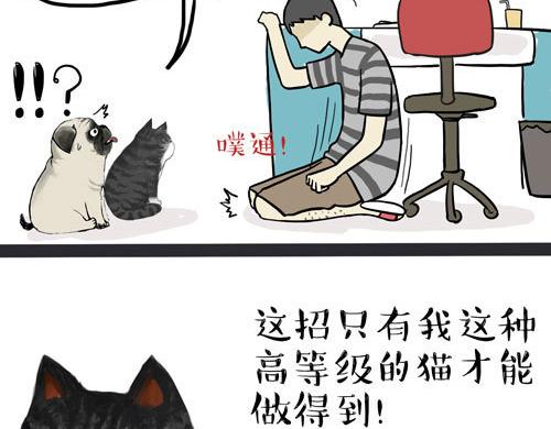 吾皇巴扎黑漫画,第30话 能运功的喵星人2图