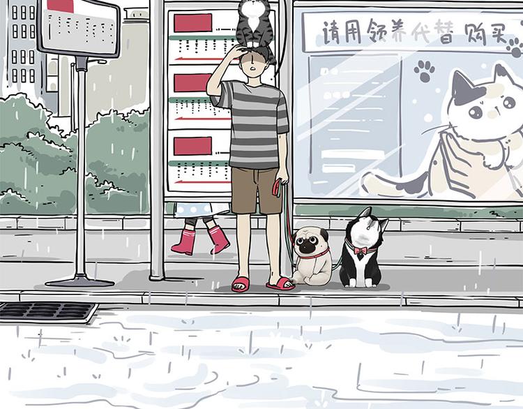 吾皇巴扎黑漫画,第282话 型男（猫）2图