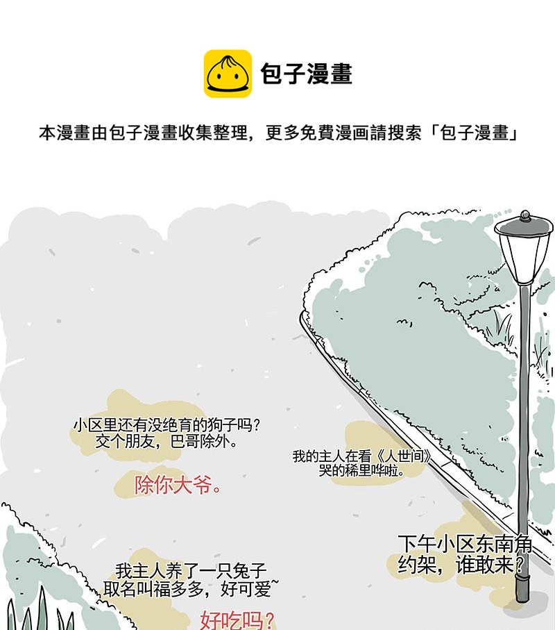吾皇巴扎黑漫画,第317话 社交密码1图