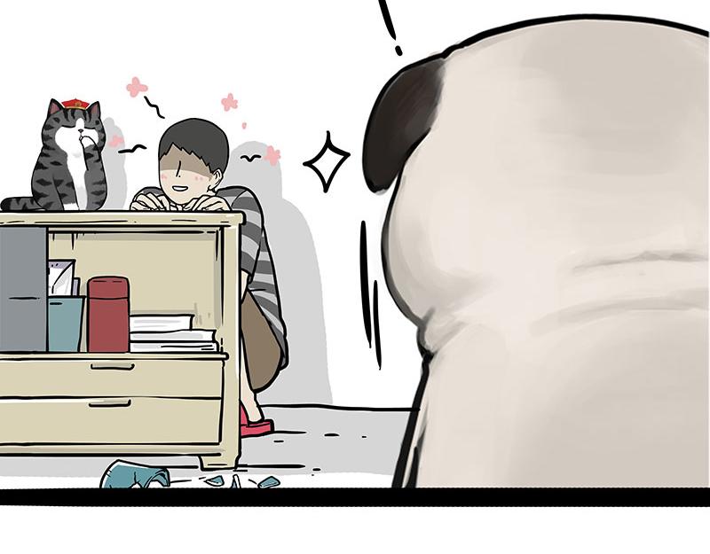 吾皇巴扎黑漫画,第344话 人生止痛剂1图