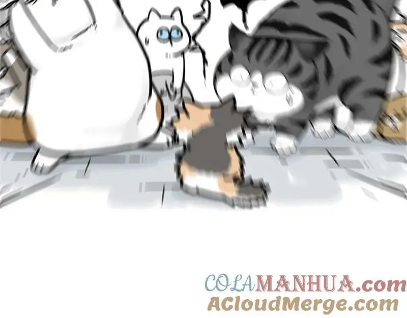 吾皇巴扎黑漫画,第404话 寻家计划1：啸天1图