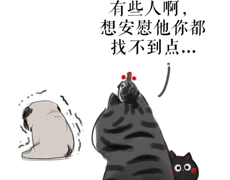 吾皇巴扎黑漫画,第53话 宠物的压力2图