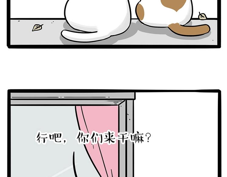 吾皇巴扎黑漫画,第189话 就你胖，还能浪2图
