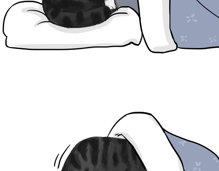 吾皇巴扎黑漫画,第44话 日常坑狗，却猫前屈膝1图