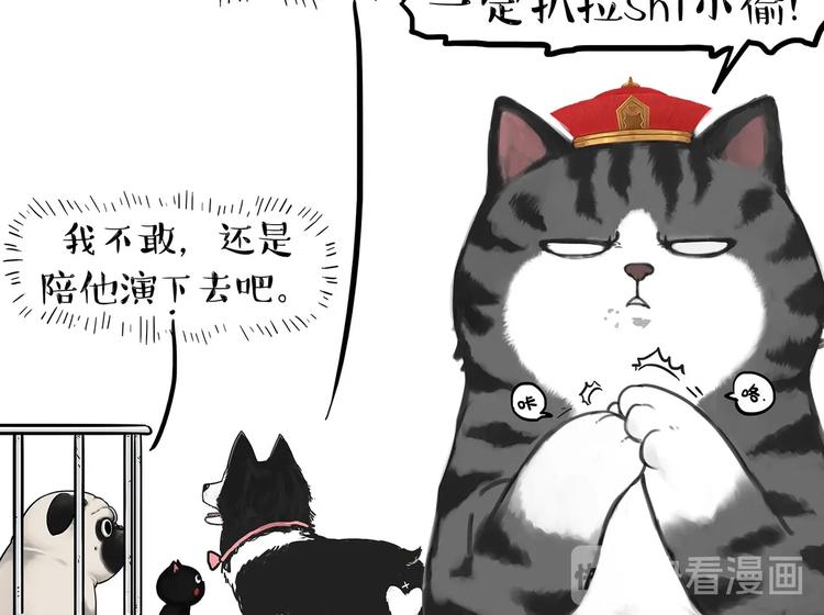 吾皇巴扎黑漫画,第202话 谁动了吾皇的猫粮1图