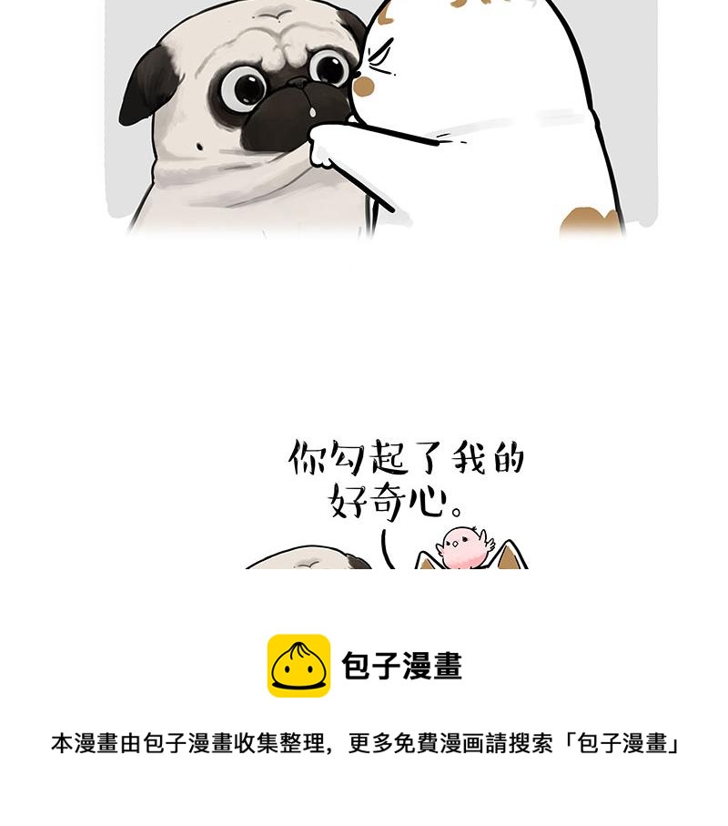 吾皇巴扎黑漫画,第317话 社交密码1图