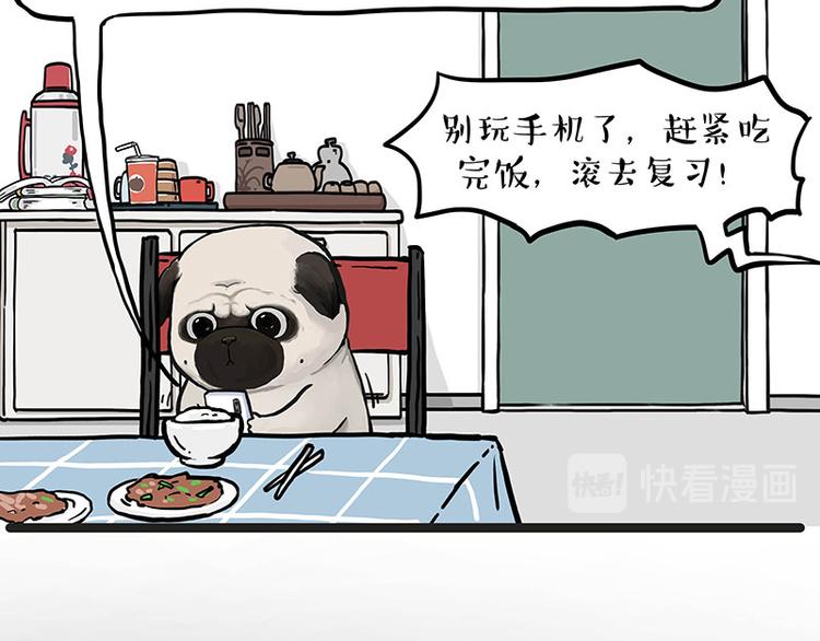 吾皇巴扎黑漫画,第276话 高考逆袭1图