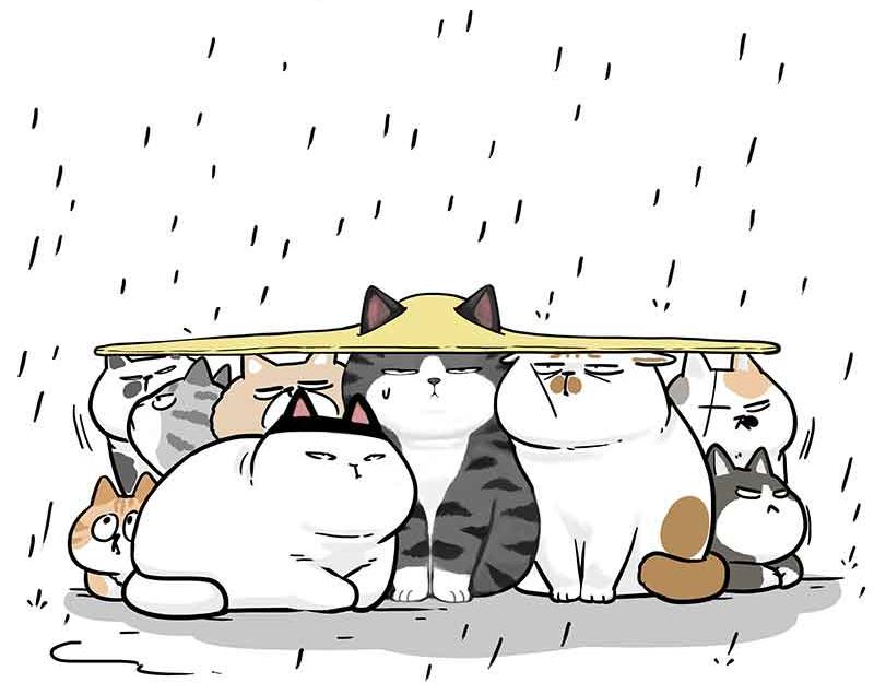 吾皇巴扎黑漫画,第359话 猫洛芬2图