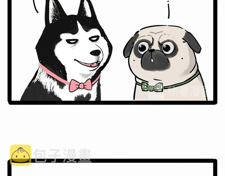 吾皇巴扎黑漫画,第194话 生活不易，猫狗打工1图