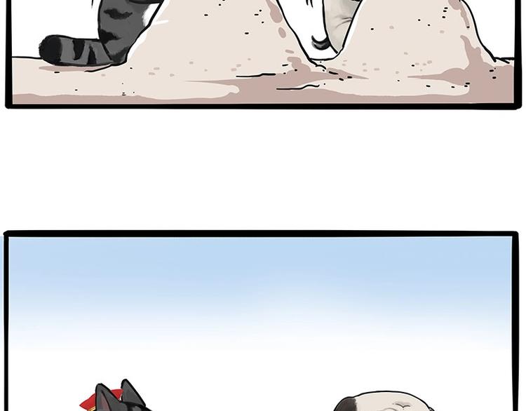 吾皇巴扎黑漫画,第221话 单身让人变态1图