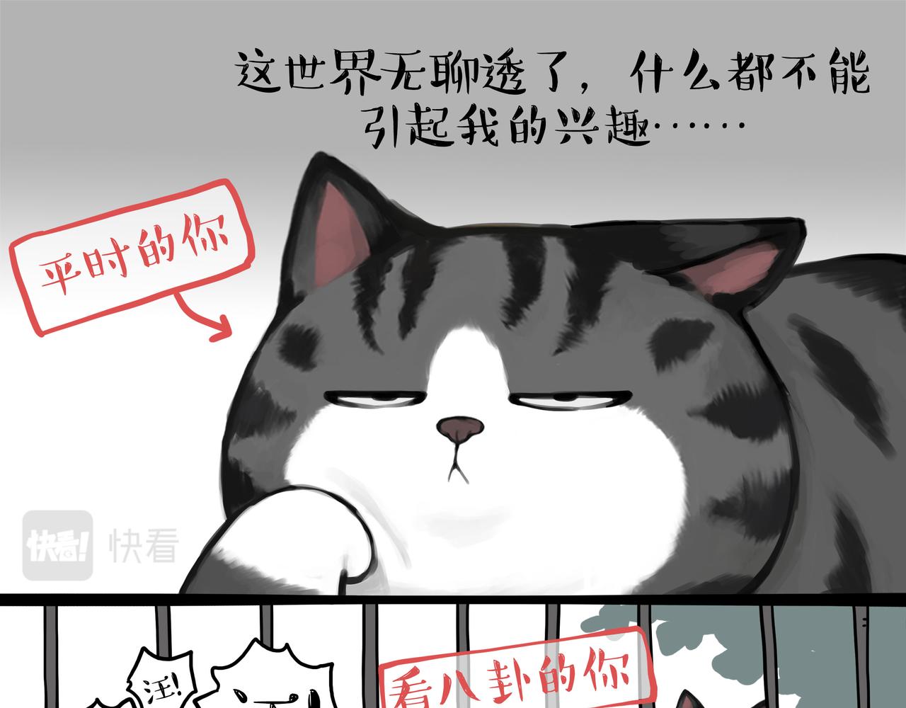 吾皇巴扎黑漫画,第356话 “吾没有错”2图