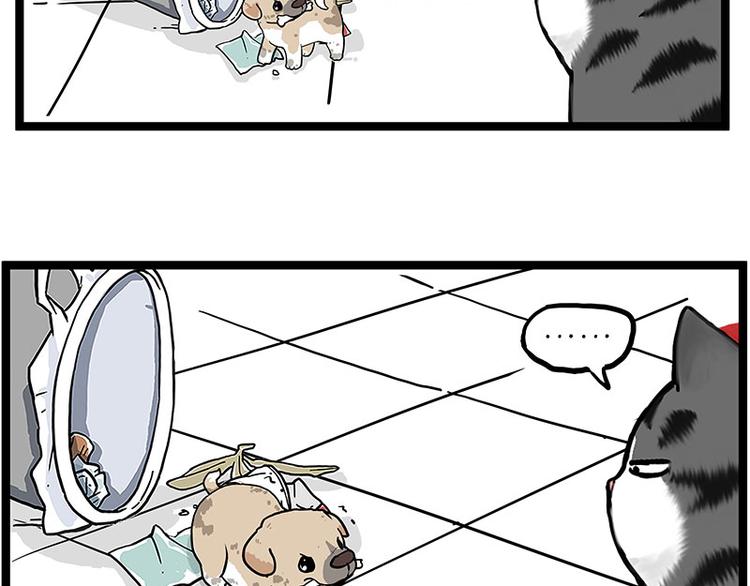 吾皇巴扎黑漫画,第266话 我偷垃圾养你1图