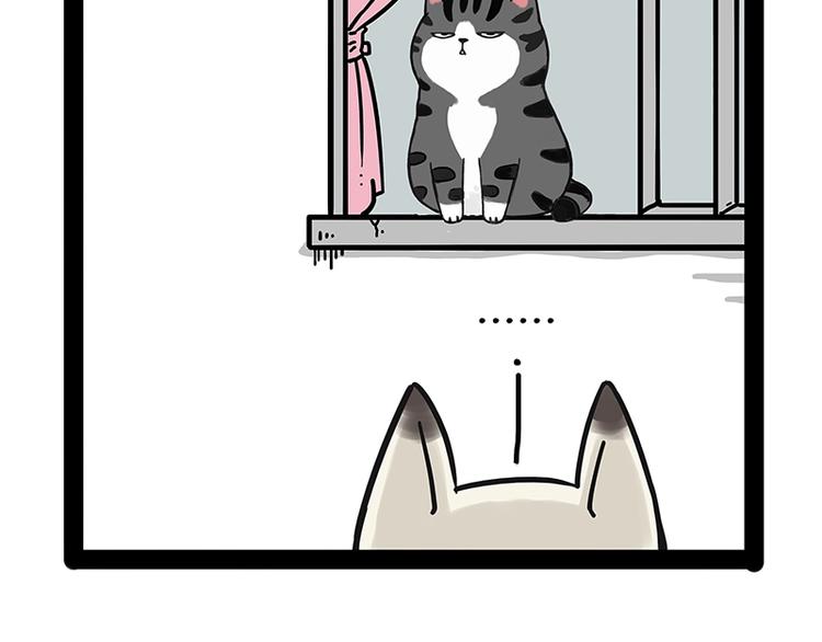 吾皇巴扎黑漫画,第171话 不许你走！1图