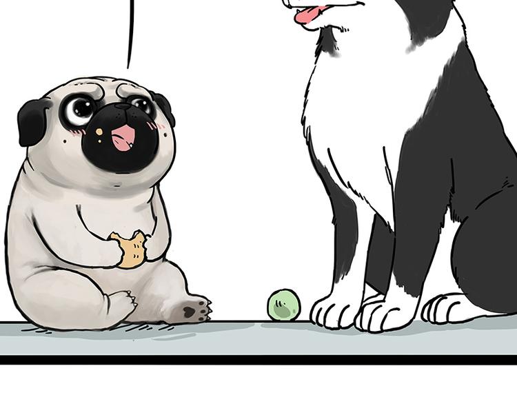 吾皇巴扎黑漫画,第207话 巴扎黑丢了？！2图